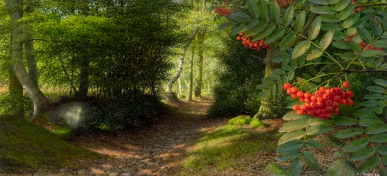 Tarde de septiembre al borde del bosque de Adel, 2004 (óleo sobre papel, colocado sobre lienzo)