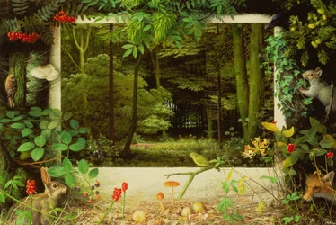 rhe Entrada al bosque
