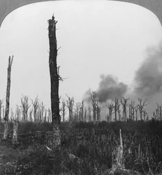 Explosión de proyectiles de alto explosivo en el Bosque de Mametz, Francia, Primera Guerra Mundial, 1916