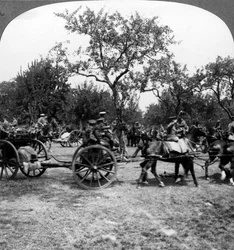 Artillería tirada por caballos, Primera Guerra Mundial, 1914-1918