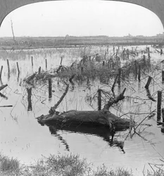Esclusas abiertas y alambre de púas en Nieuwpoort, Bélgica, Primera Guerra Mundial, c1914-c1918