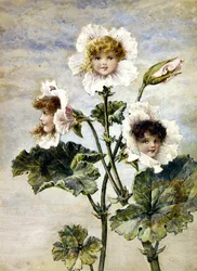 Geranio y Guisante Dulce - Niños Flor - un par
