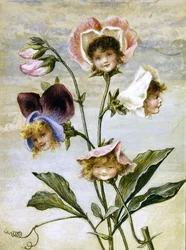 Geranio y Guisante de Olor- Niños Flor- un par