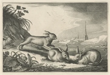 Paisaje de dunas con conejos Diversa Animalia Quadrupedia (título de la serie)