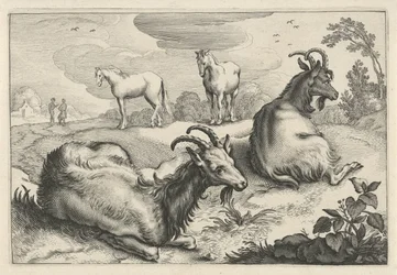 Paisaje con dos cabras y dos caballos. Diversa Animalia Quadrupedia (título de la serie)
