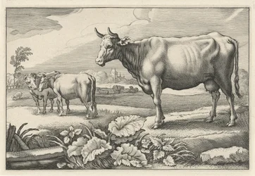 pasto con vacas Diversa Animalia Quadrupedia (título de la serie)