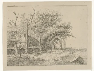 hilera de arboles