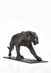 Pantera caminando, pata trasera levantada, c.1904