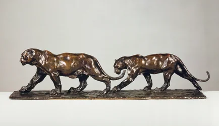 Dos Jaguares
