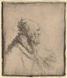 Viejo calvo con barba corta de perfil, c. 1635