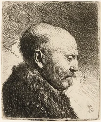 Hombre calvo de perfil derecho: el padre de Rembrandt 1630