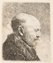 Hombre calvo de perfil (¿padre de Rembrandt?)