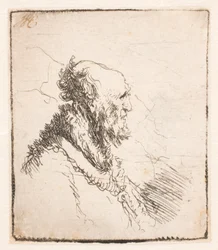 Hombre calvo con barba corta, perfil derecho