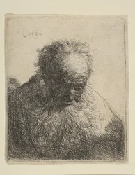Busto de un anciano con barba fluida: la cabeza inclinada hacia delante: hombro izquierdo sin sombrear, 1630.