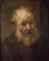 Cabeza de un Hombre Viejo, c.1650