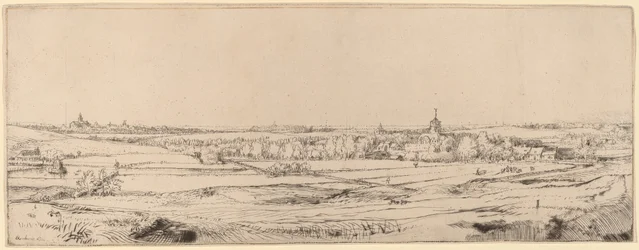 Paisaje con vista hacia Haarlem (El campo del pesador de oro)