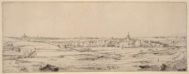 Paisaje con vistas a Haarlem (El campo del pesador de oro)