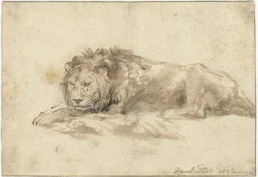 León acostado (Liggende leeuw). 1650-59