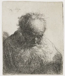 Anciano con barba fluida, hombro izquierdo sin sombrear; Busto de un anciano con barba fluida: la cabeza inclinada hacia delante, hombro izquierdo sin sombrear