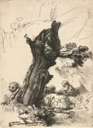 San Jerónimo junto a un sauce trasmocho, 1648