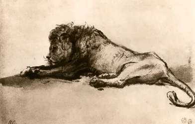 Estudio de un León, 1913