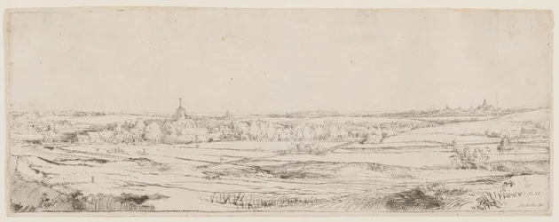 El Campo del Pesador de Oro