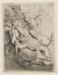 La caza del león pequeño (con un león)