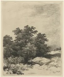 paisaje con arboles