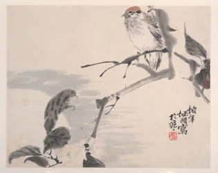 Animales, Flores y Aves, siglo XIX