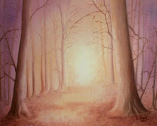 Camino a la Luz
