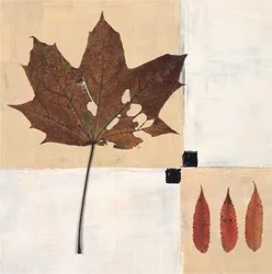 Naturaleza muerta con hojas de otoño