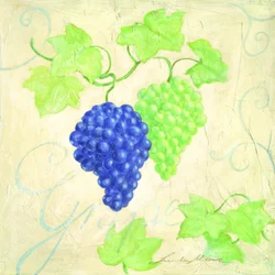 Uvas frescas de color azul verdoso