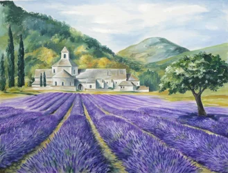 La serenidad de los campos de lavanda