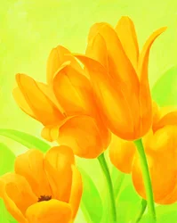 Tulipanes de color naranja intenso