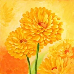 Flores de un amarillo intenso