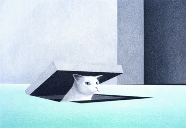 Escotilla