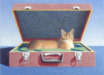 Maleta de viaje 2