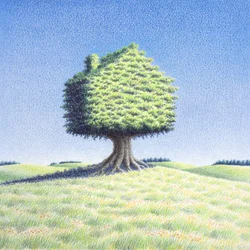 Casa del árbol