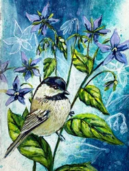 Carbonero azul del jardín