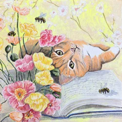 Un gato entre amapolas