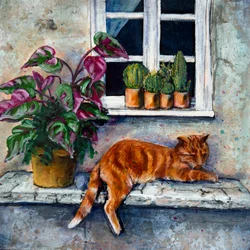 Siesta en la ventana del gato naranja