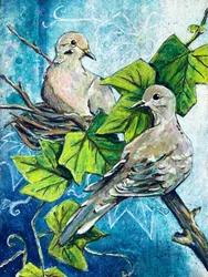 El nido de las palomas de la paz