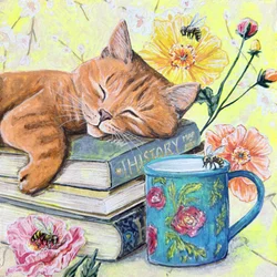 Un gato durmiendo entre libros