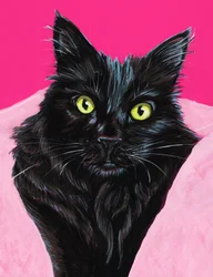 Vibrante retrato de gato negro