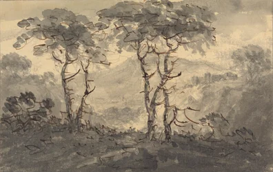 Abetos en un paisaje de montaña