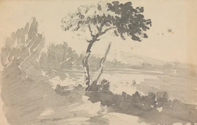 Árbol y lago