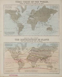 Un gráfico de mareas y un mapa de la distribución de plantas en el mundo, c 1850