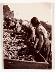 Pesca, mujeres pescadoras clasificando pescado, puerto de Whitby, North Yorkshire, c. 1905
