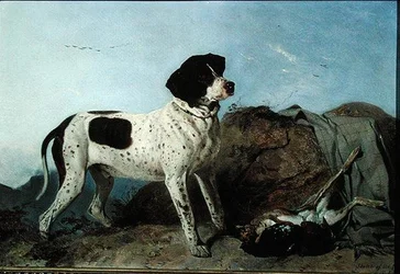 Viejo Jack - Un Pointer