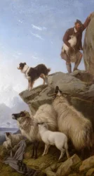 R. Ansdell, La oveja perdida / Pintura, 1868